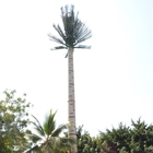 Telekomunikacja Palm Tree Stalowa wieża Monopole ocynkowana ogniowo