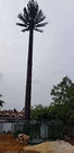 Zakamuflowana komunikacyjna wieża z palmami sosnowymi 0m - 80m wysokości