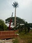 Palm Tree Steel Monopole Tower Ukryta ocynkowana ogniowo