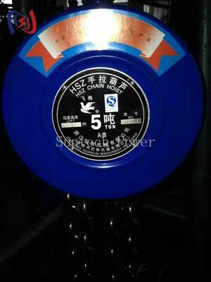 Profesjonalny ręczny dźwignięcy łańcuchowy do podnoszenia ciężkich urządzeń w budownictwie elektrycznym z napięciem znamionowym 5-200KN